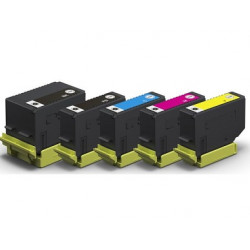 Rainbow Cartucce Epson 202XL Compatibili