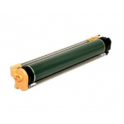 Gruppo Tamburo (Drum) Xerox 013R00602 Compatibile Nero