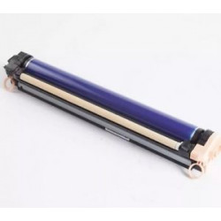 Gruppo Tamburo (Drum) Xerox 013R00664 Colori